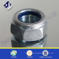 Hex Nylon Nut with Zinc